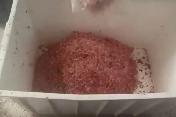 Imagem colorida mostra pedaço de carne apreendida pela Polícia Civil em Campinas - Metrópoles