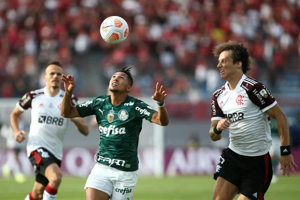 Novos rivais, Flamengo e Palmeiras vivem momentos bem diferentes