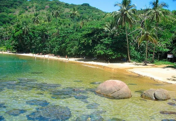 Ex-galã da Globo deixa as telinhas e vive isolado em ilha do Rio