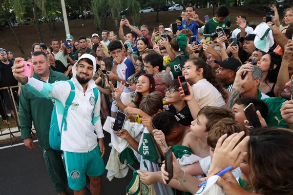 Palmeiras é recebido com festa da torcida antes de final do Paulistão