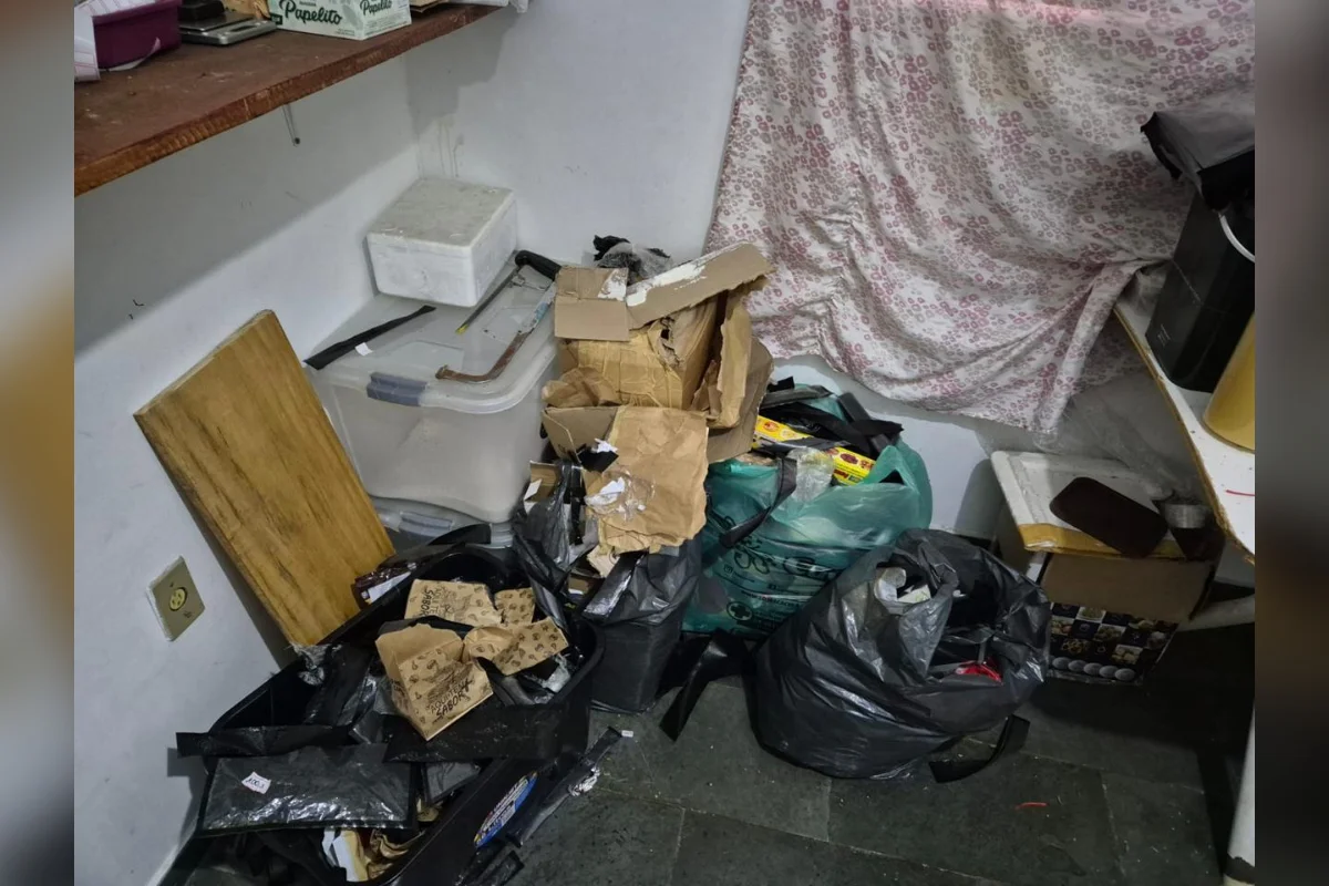PF prende traficante que estocava tijolos de maconha em casa no Rio - imagem 3 PF prende traficante que estocava tijolos de maconha em casa no Rio - imagem 3