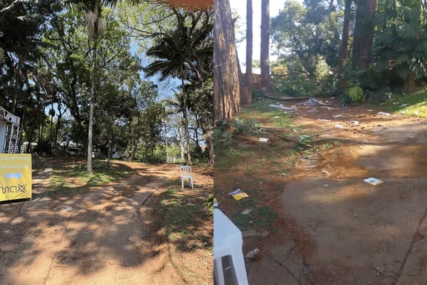 Colagem colorida de árvores sendo removidas para a construção de um condomínio - Metrópoles