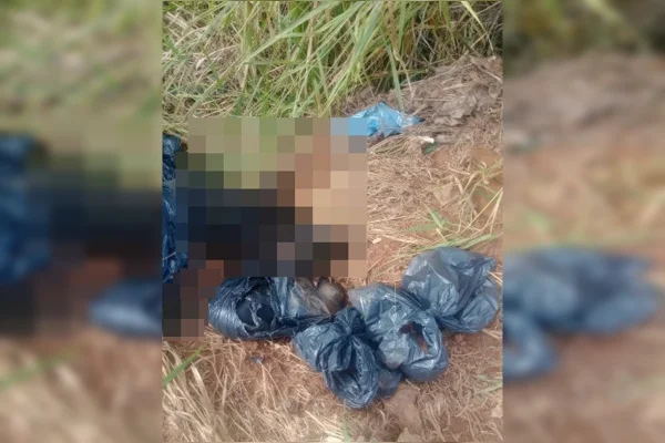 PCDF apura possível estelionato em descarte de cachorros mortos