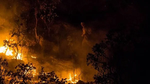 Parque da Chapada dos Veadeiros é reaberto após grande incêndio