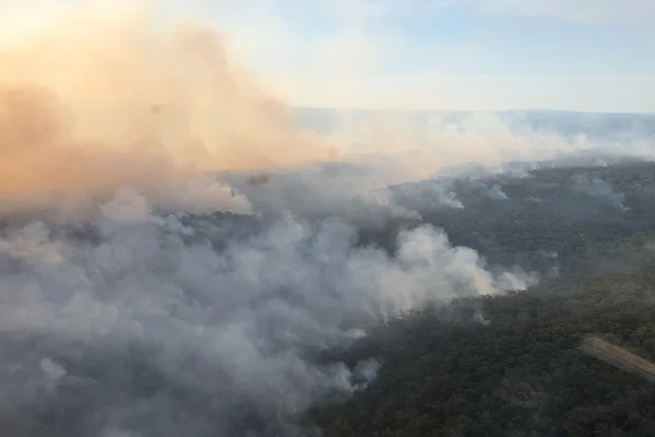 Imagem colorida mostra Incêndios florestais na Austrália - Metrópoles