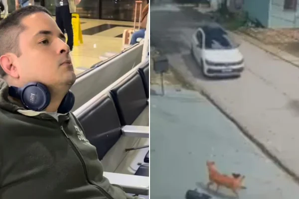 Homem atropela cães, tenta fugir pelo aeroporto e diz: “Faria de novo”