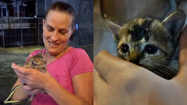 Foto colorida de mulher segurando gata após resgate