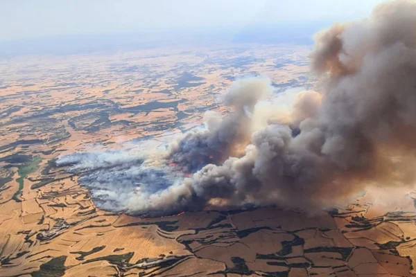 Imagem colorida de incêndio florestal