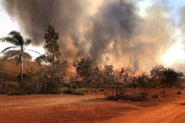 Defesa Civil atualiza número de focos ativos de incêndio em São Paulo. Nesta quarta, SP liderou ranking de cidades com pior qualidade do ar - Metrópoles