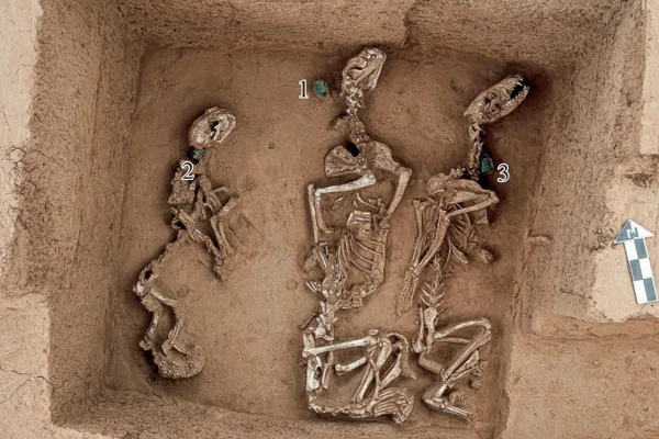 Imagem colorida mostra restos de animais encontrados em sítio arqueológico na China - Metrópoles