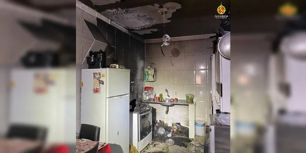 samambaia agressão incêndio