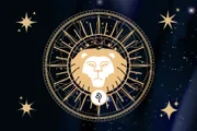 Os leoninos apresentam como características a criatividade, o carisma e a generosidade.