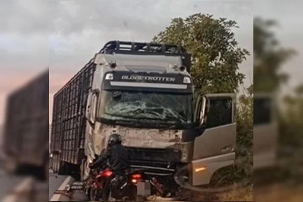 Motorista de caminhão fica ileso após acidente que matou 8 na BR-020