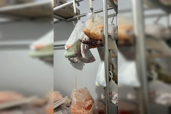 Delegado mostra fábrica que fazia espetinhos com carne “pintada”. Veja