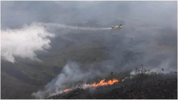 Influencer é suspeito de incendiar parque com fogos de artifício em MG