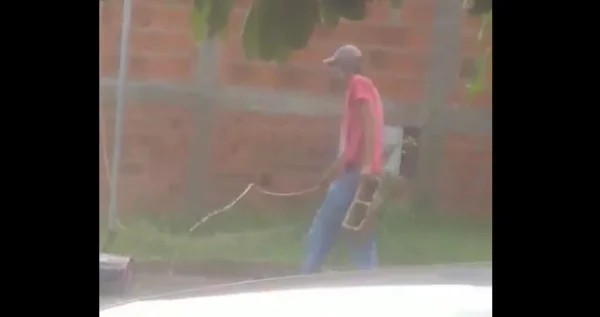 foto colorida de homem que foi autuado por matar gato afogado em Presidente Prudente (SP) - Metrópoles