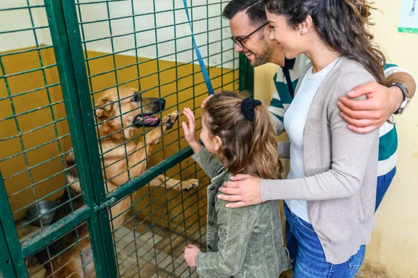 Família interagindo com cachorro em abrigo