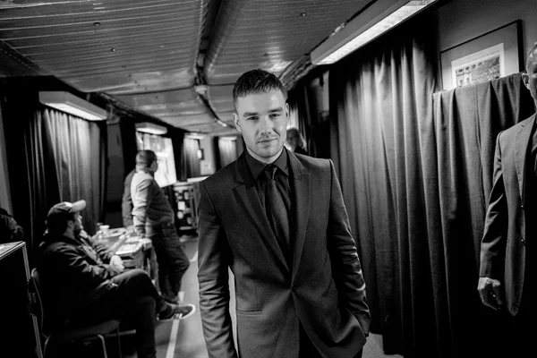 Liam Payne revolta fãs ao fazer música sobre mulheres bissexuais