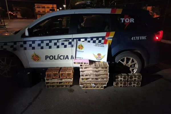 Policiais apreendem 600 pássaros silvestres em carro no DF