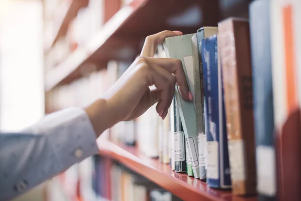 Quatro livros que todo concurseiro deve ler