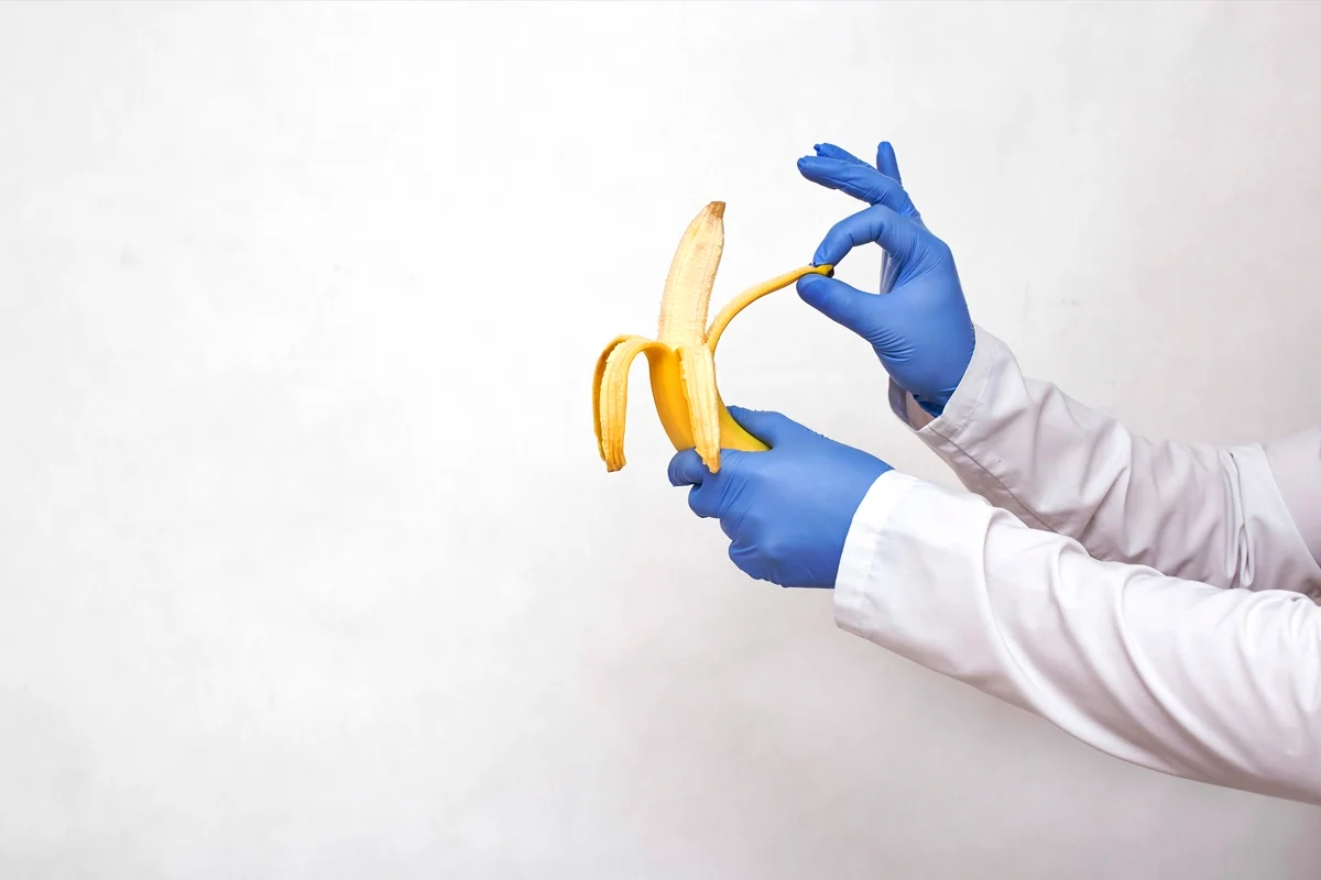 Doença de Peyronie: condição no pênis pode curvar e encurtar o órgão