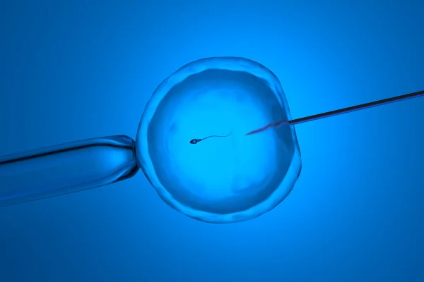 Ilustração de inseminação artificial, fundo azul. Metrópoles