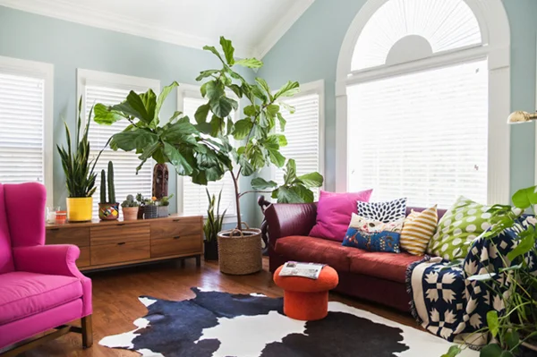 Plantas em casa melhoram o humor e a saúde. Sabe usá-las na decoração?