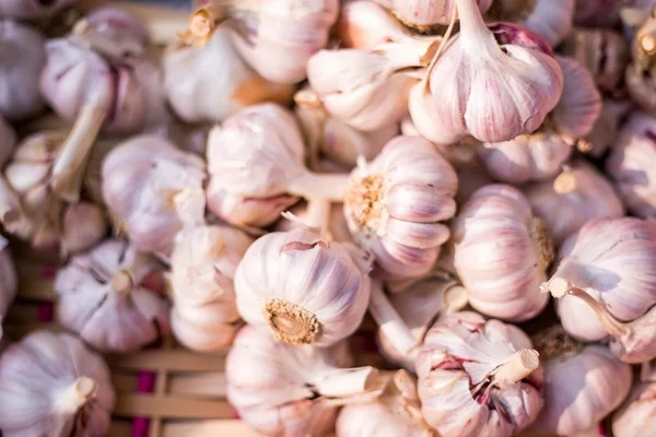 Ginecologista alerta: não é saudável colocar alho na vagina