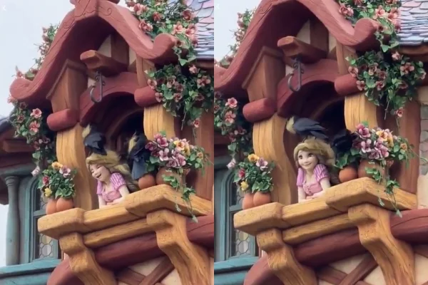 Corvos atacam boneca da Rapunzel na Disney e assustam visitantes