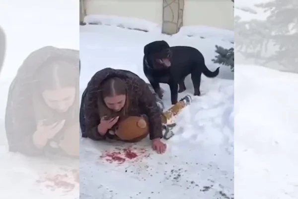 Mãe se joga sobre o filho para protege-lo de ataque de rottweiler