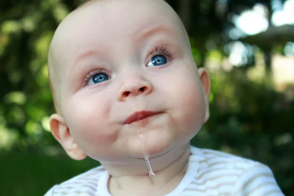 bebê
