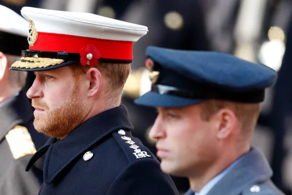 Bullying de William teria afastado Harry e Meghan da família real