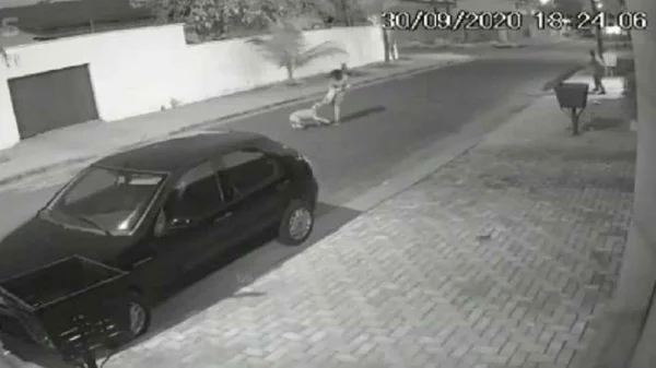 Advogada imobiliza pitbull para salvar cadela de estimação de ataque