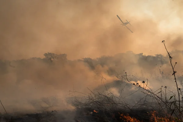 Queimada no Pantanal brasileiro em 2020