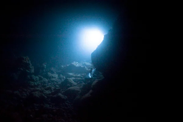 Imagem mostra lanterna ligada no fundo do mar, no escuro - Metrópoles