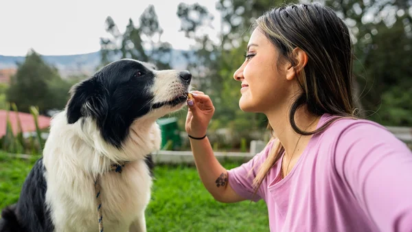 Tutora alimentando pet