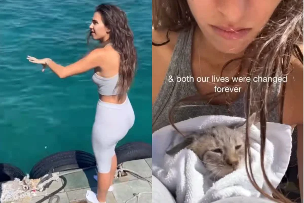Turista salva filhote de gato que estava se afogando em mar da Grécia