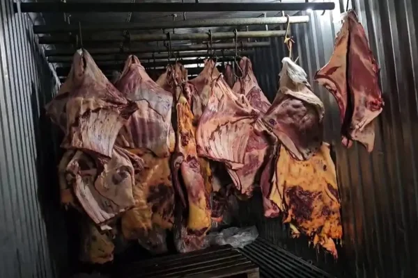 Carne pendurada por gancho em frigorífico - Metrópoles
