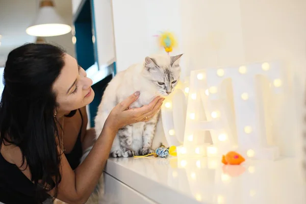 Empresária chega a gastar mais de R$ 10 mil por mês com o bem estar dos seus felinos e com a causa animal