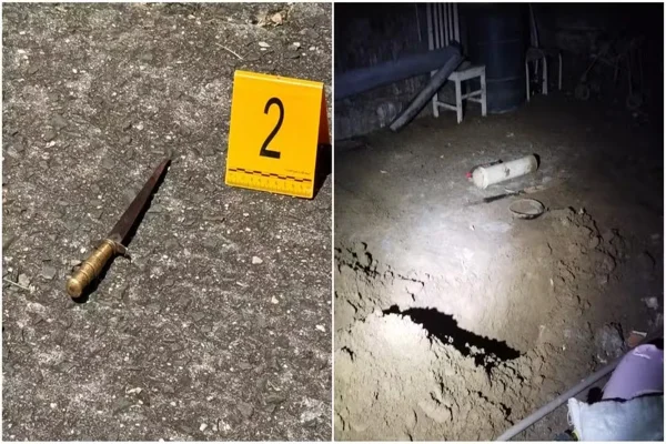 Banho de sangue e cova no porão: homem em surto mata mãe e irmã
