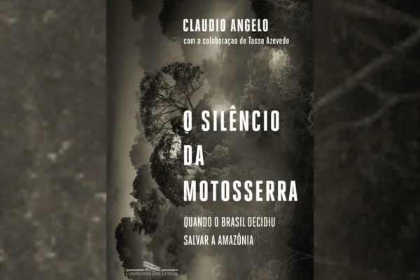 O silêncio da motosserra