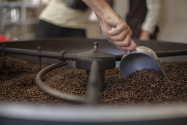 produção de café