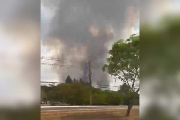 Imagem colorida de área de mata pegando fogo- Metrópoles