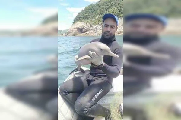 Pescador salva golfinho