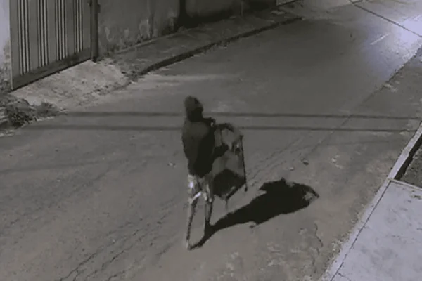 Gato Louco que furtou pássaro na madrugada é preso após onda de crimes