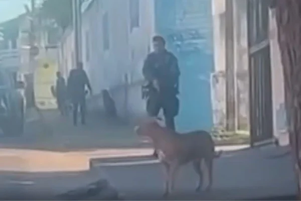 Foto colorida de policial militar segurando uma arma próximo ao pit-bull -Metrópoles
