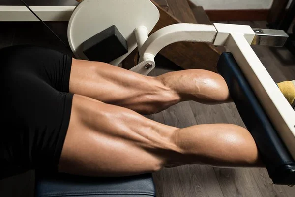 Dividir o treino de coxa em anterior e posterior dá mais resultado?