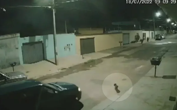 Motorista é filmado atropelando cachorro no meio de rua em Anápolis, Goiás