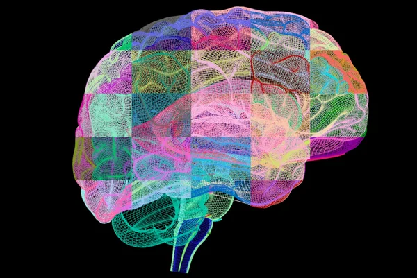 Ilustração colorida mostra cérebro pintado de várias cores - Metrópoles