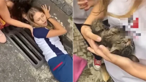 Vídeo: após ouvir miado, criança resgata gatinho preso em bueiro